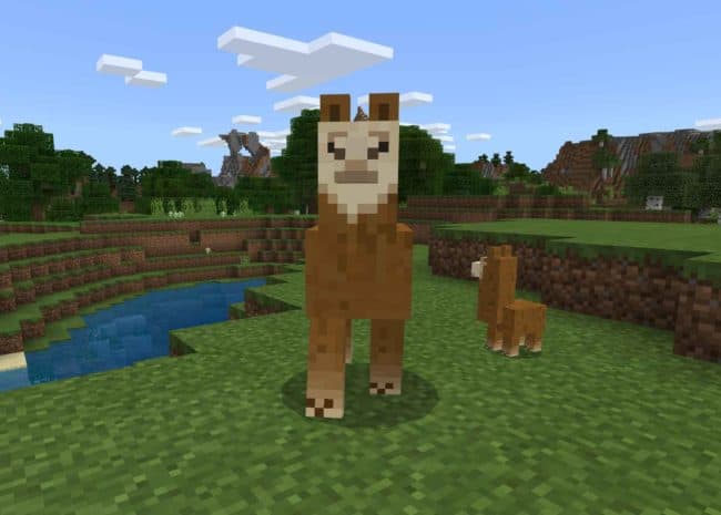 how to breed llamas in minecraft